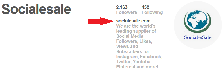 Socialesale Pinterest account - Leading supplier of social media services